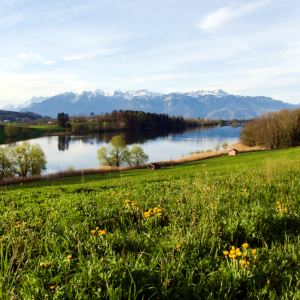 Matin printanier sur le lac de Brêt (06.04.2024)